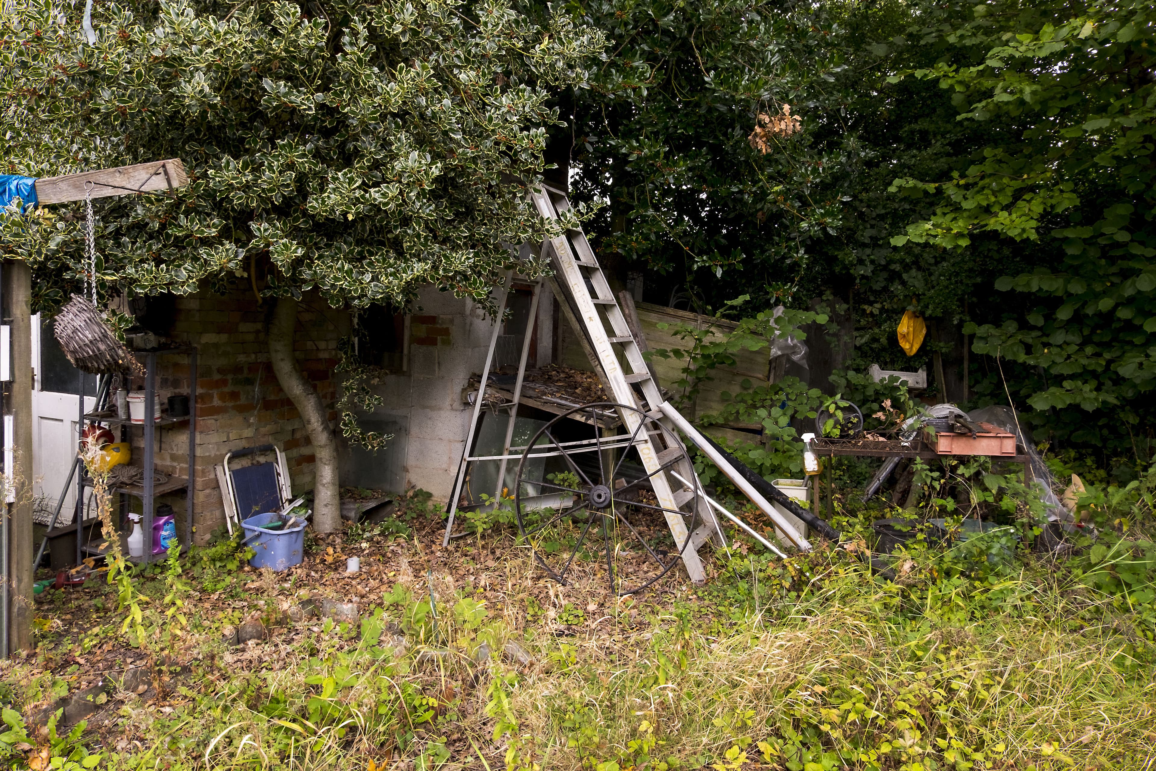 About Our Garden Clearance in Chelsfield